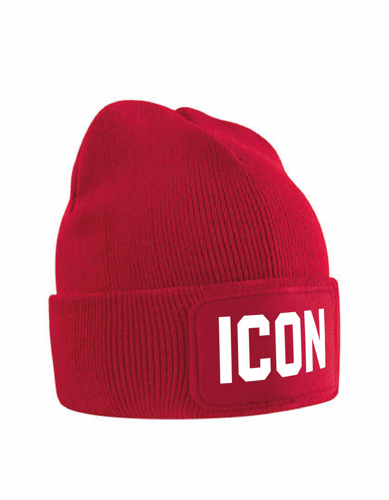 Kids Beanie - ICON