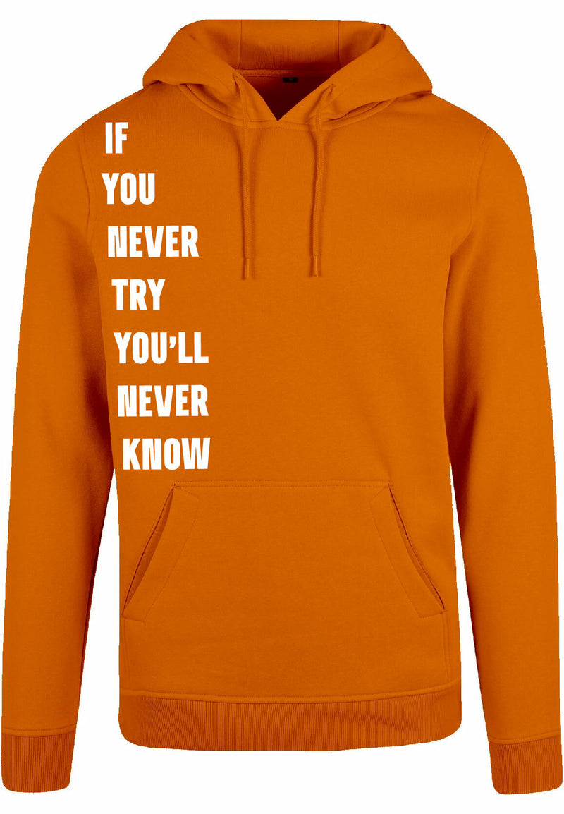 Hoodie - Never Try, Never Know