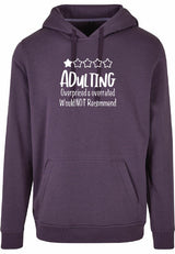 Hoodie - Adulting Purple Night