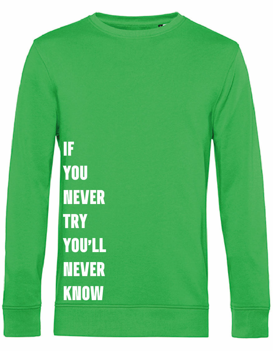 Sweater - Never Try, Never Know Apple Green
