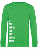 Sweater - Never Try, Never Know