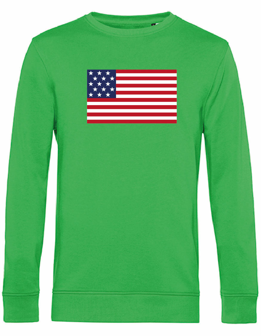 Sweater - American Flag Apple Green