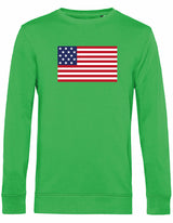 Sweater - American Flag Apple Green