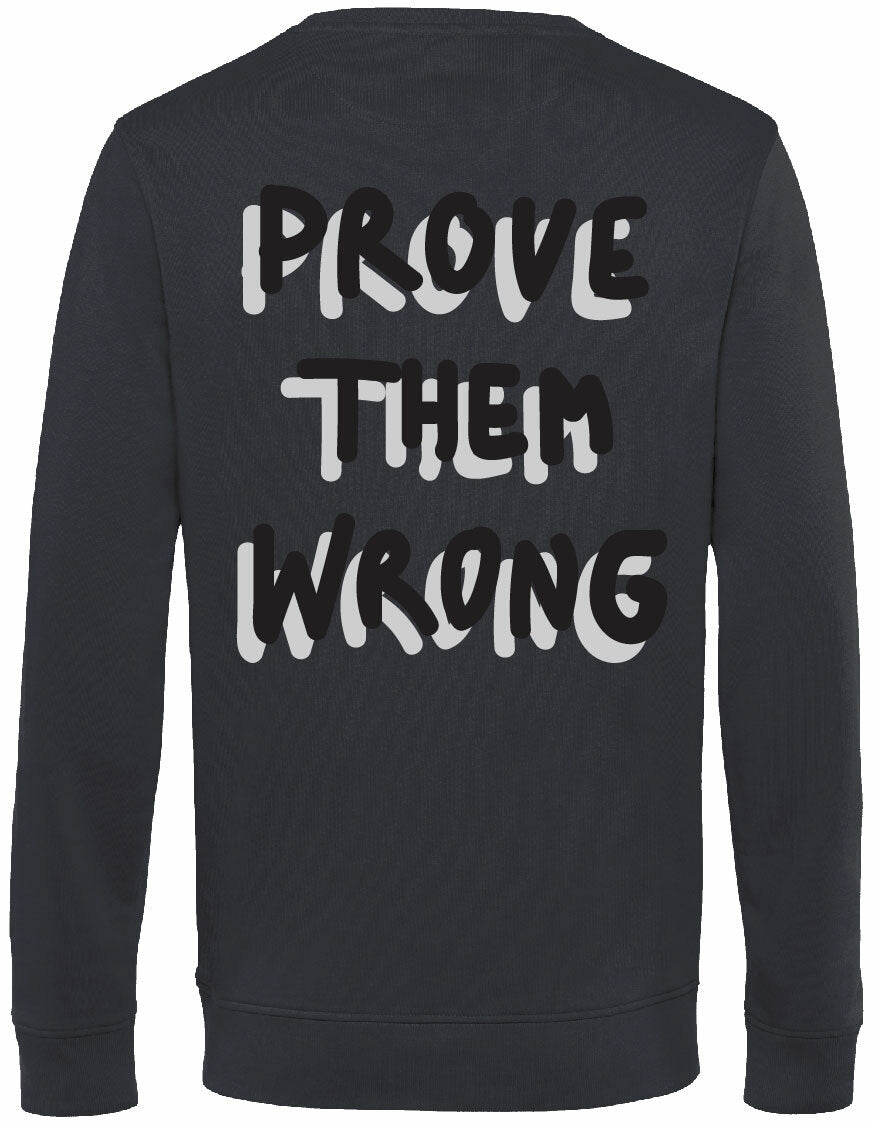 Sweater - Prove them wrong Asphalt
