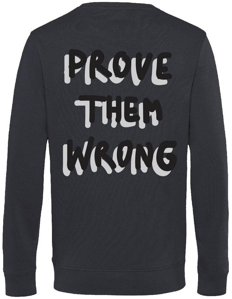 Sweater - Prove them wrong