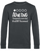 Sweater - Adulting