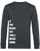 Sweater - Never Try, Never Know