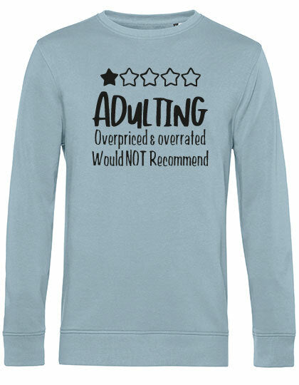 Sweater - Adulting Blue Fog