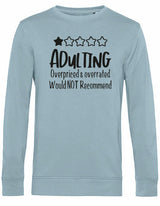 Sweater - Adulting Blue Fog