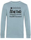 Sweater - Adulting