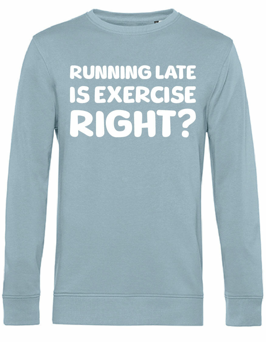 Sweater - Running late Blue Fog
