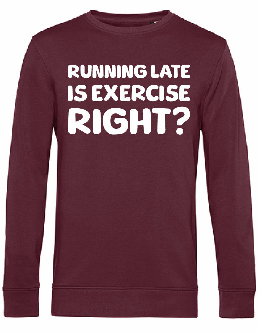 Sweater - Running late Burgundy