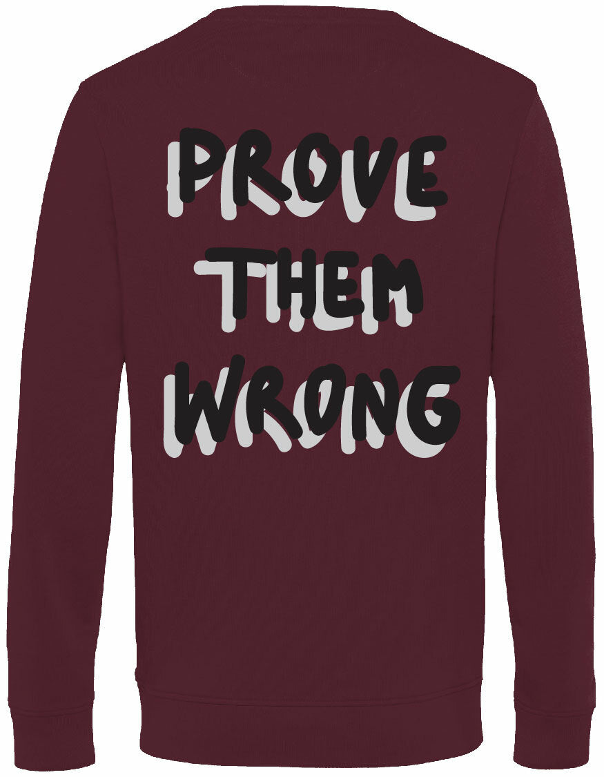 Sweater - Prove them wrong Burgundy