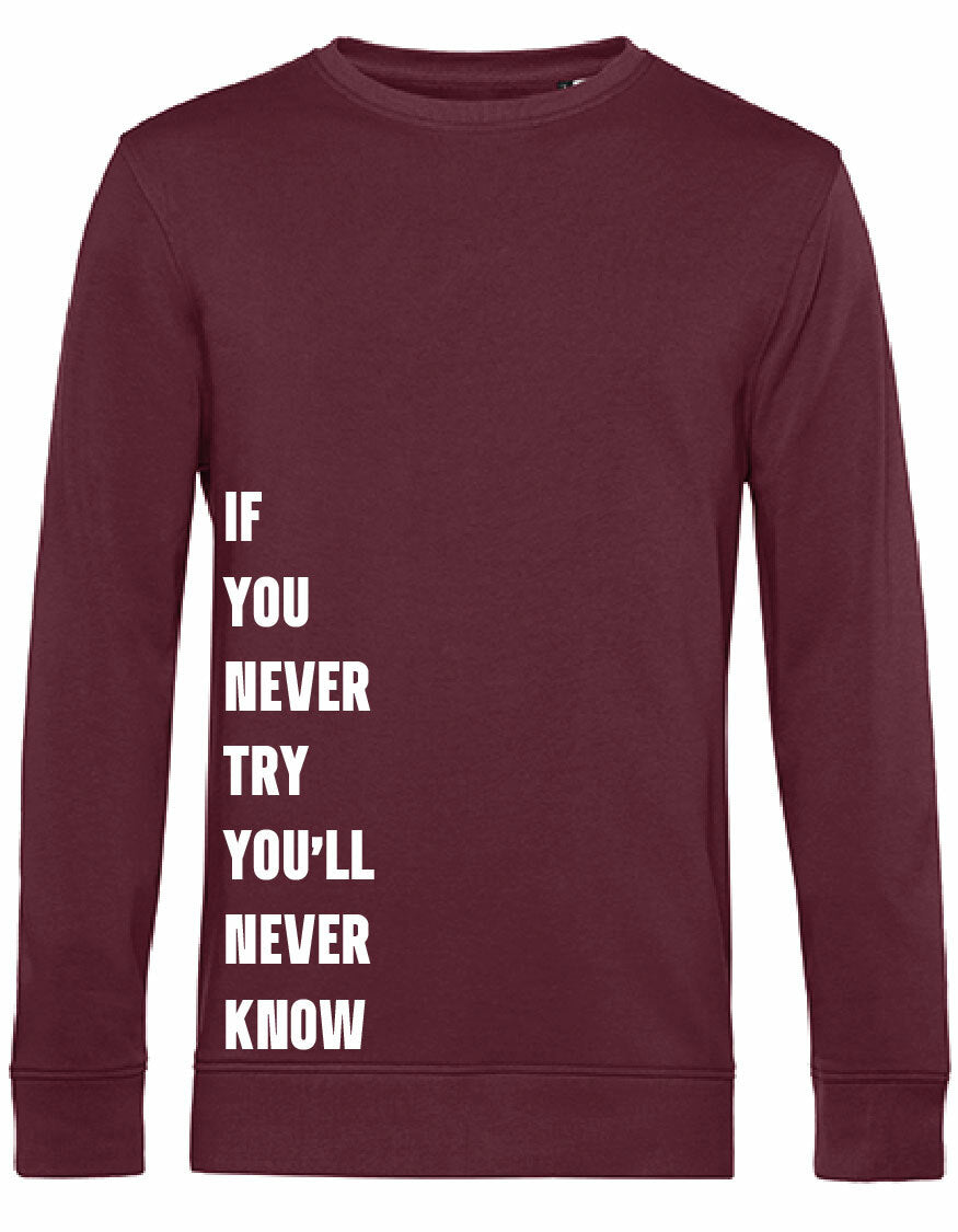 Sweater - Never Try, Never Know Burgundy