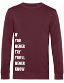 Sweater - Never Try, Never Know