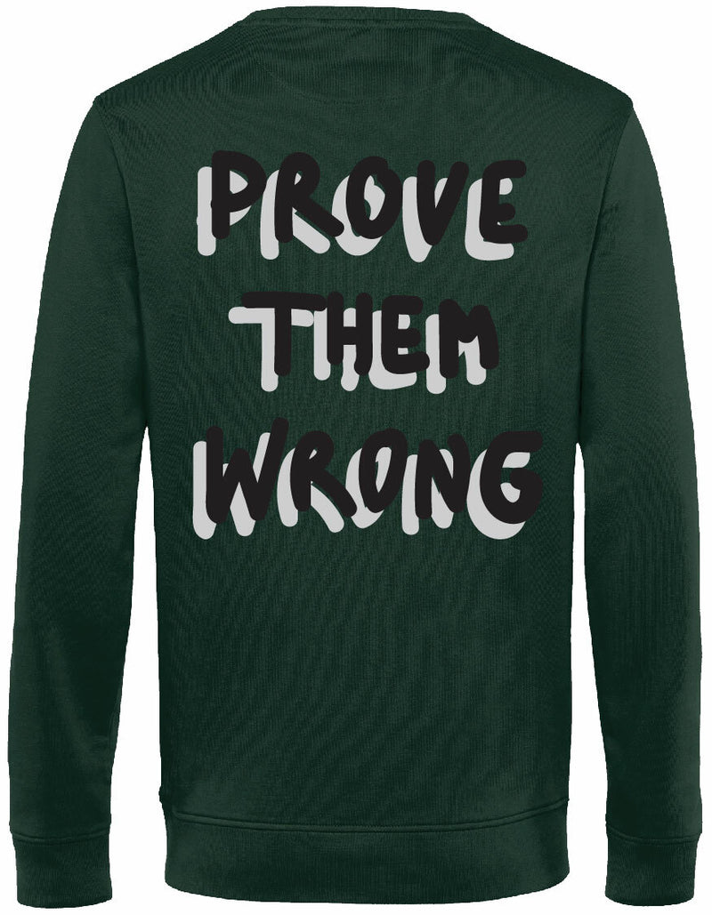 Sweater - Prove them wrong