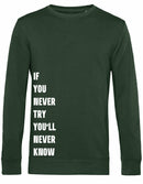 Sweater - Never Try, Never Know