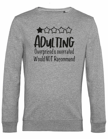 Sweater - Adulting Heather Grey