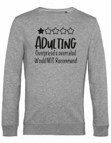 Sweater - Adulting Heather Grey