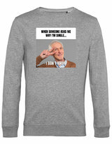 Sweater - I don't know Heather Grey