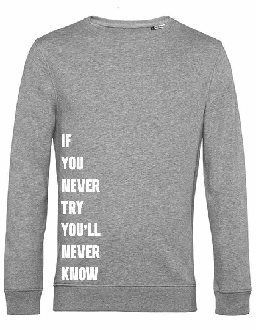 Sweater - Never Try, Never Know Heather Grey