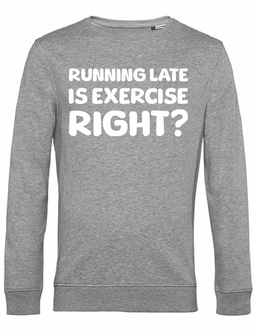 Sweater - Running late Heather Grey