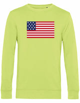 Sweater - American Flag Lime