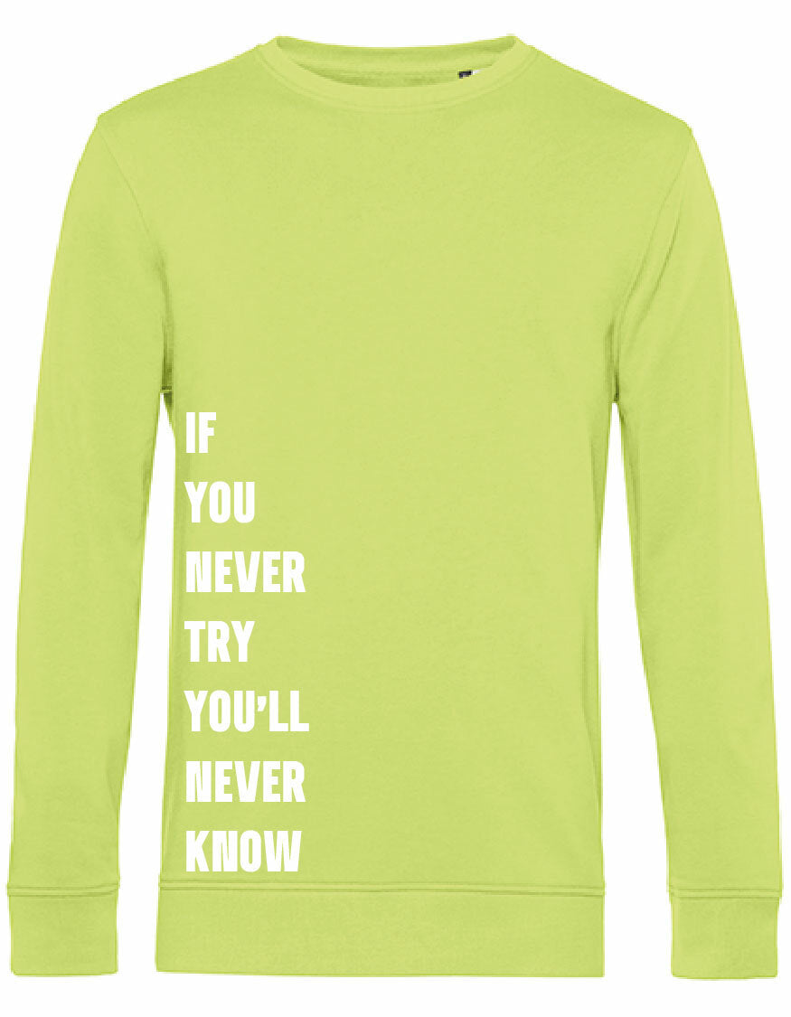 Sweater - Never Try, Never Know Lime