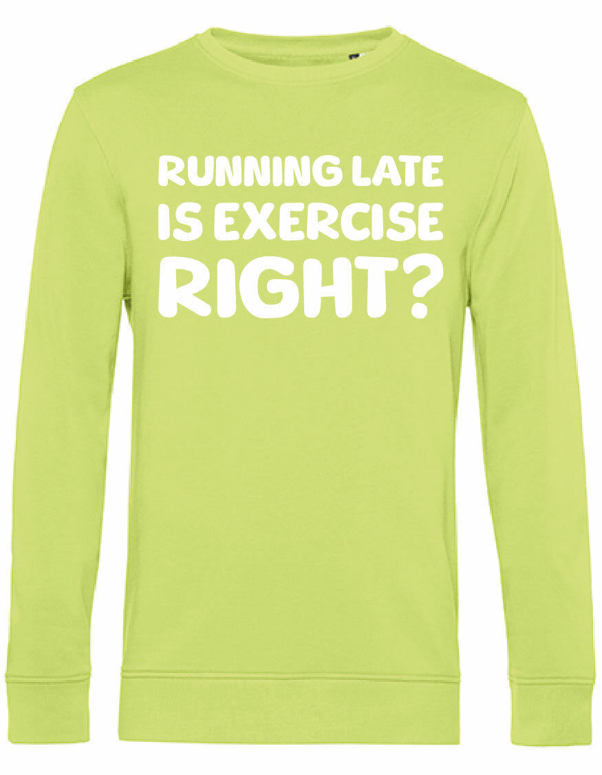 Sweater - Running late Lime