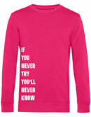 Sweater - Never Try, Never Know