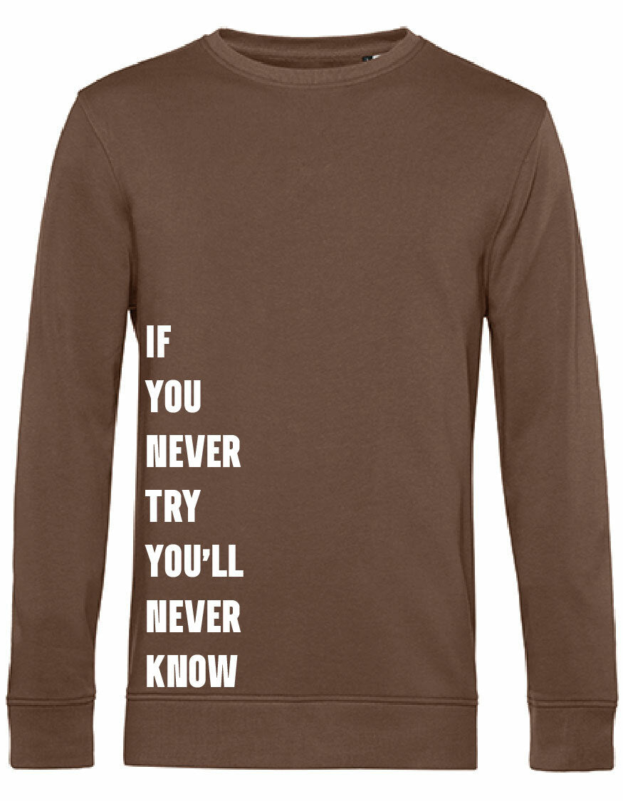 Sweater - Never Try, Never Know Mocha