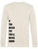 Sweater - Never Try, Never Know