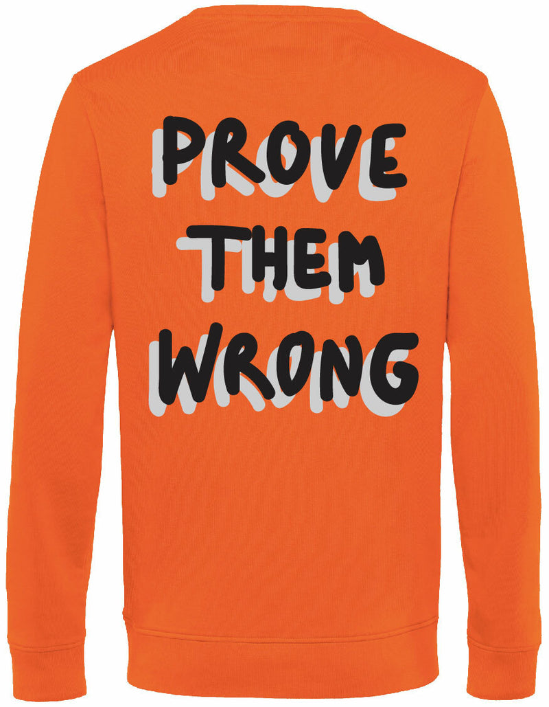 Sweater - Prove them wrong