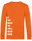 Sweater - Never Try, Never Know