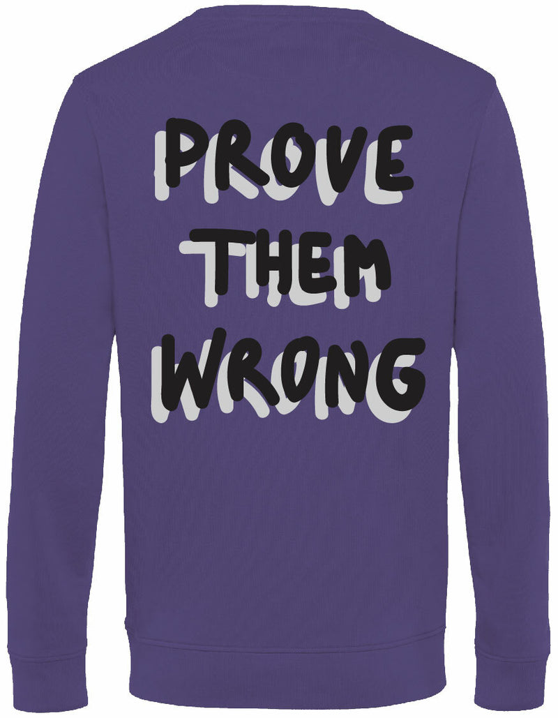 Sweater - Prove them wrong