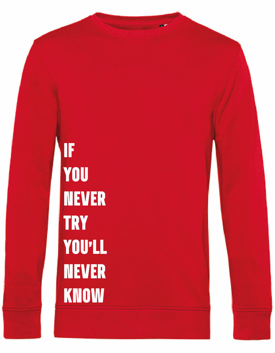 Sweater - Never Try, Never Know Red