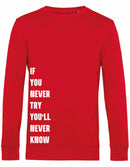 Sweater - Never Try, Never Know