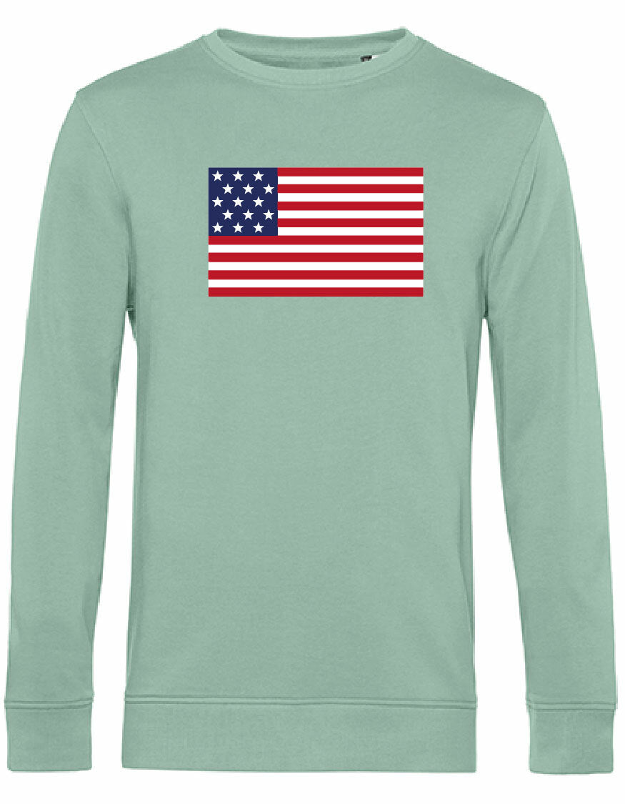 Sweater - American Flag Sage