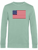 Sweater - American Flag Sage