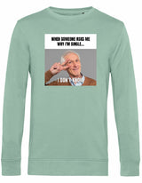 7431 - Sweater - I don't know Sage