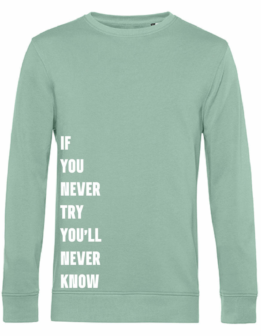 Sweater - Never Try, Never Know Sage