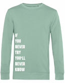 Sweater - Never Try, Never Know