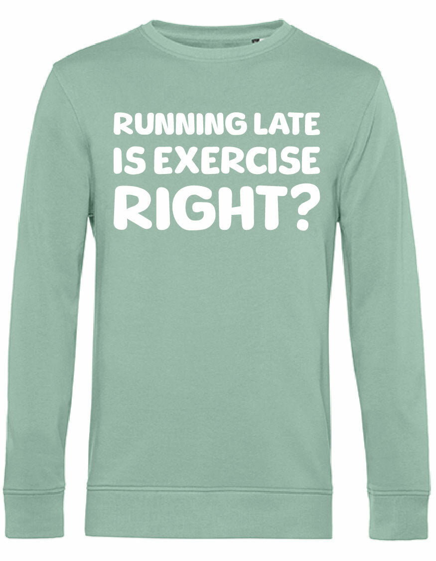 Sweater - Running late Sage