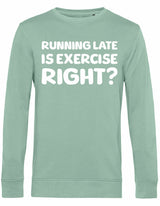 Sweater - Running late Sage
