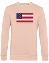Sweater - American Flag Soft Rose