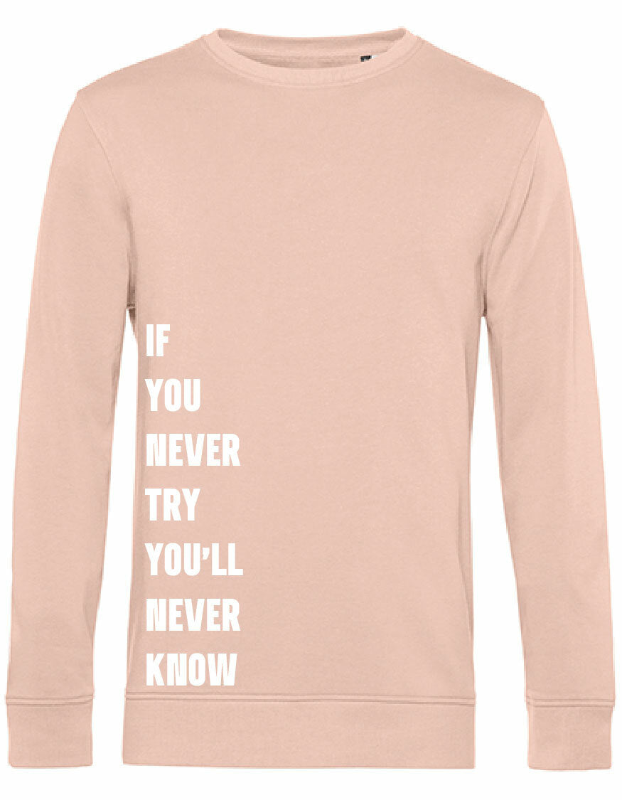 Sweater - Never Try, Never Know Soft Rose