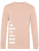 Sweater - Never Try, Never Know