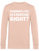 Sweater - Running late Soft Rose