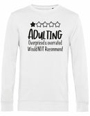Sweater - Adulting