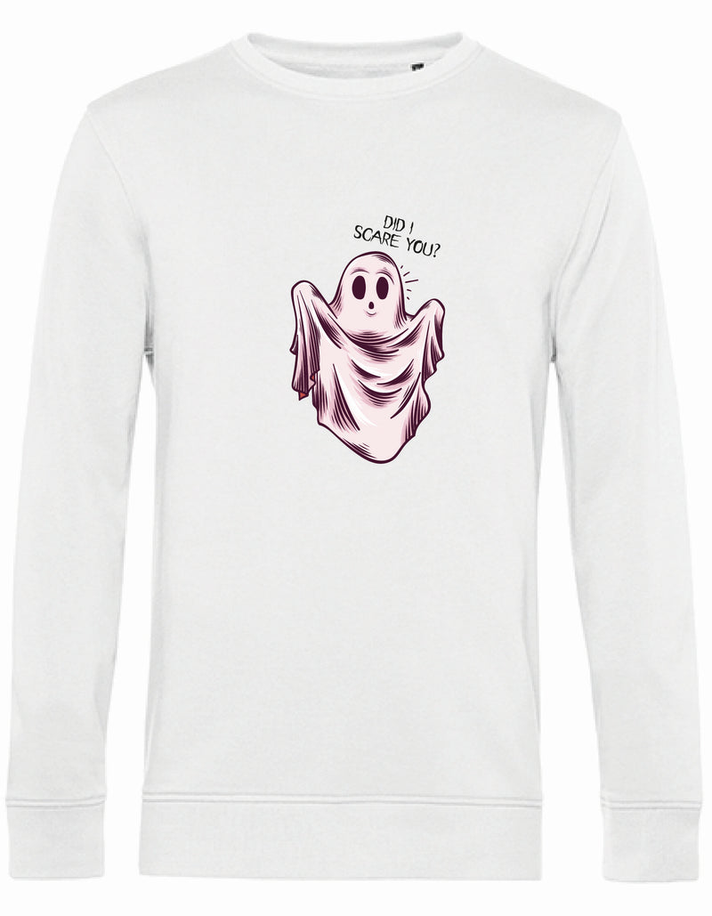 Sweater - Did I Scare You